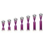 Rodeo Multisport Tube Trophy Silver & Purple