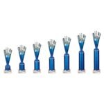 Rodeo Multisport Tube Trophy Silver & Blue