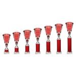 Cobra Star Multisport Tube Trophy Silver & Red