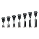 Cobra Star Multisport Tube Trophy Silver & Black