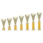 Cobra Star Multisport Tube Trophy Gold