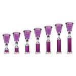 Cobra Star Multisport Tube Trophy Silver & Purple