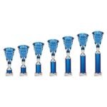 Cobra Star Multisport Tube Trophy Silver & Blue