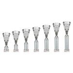 Cobra Star Multisport Tube Trophy Silver