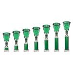 Cobra Star Multisport Tube Trophy Silver & Green