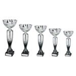 Eruption Silver Cup