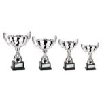 Endeavour Cup Silver