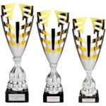 Paramount Laser Cup Silver & Gold