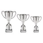 Hunter Cup