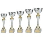 Everest Silver & Gold Cup