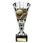 Cobra Star Cup Football Boot & Ball Silver