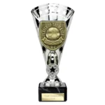 Cobra Star Cup Player of Match Silver