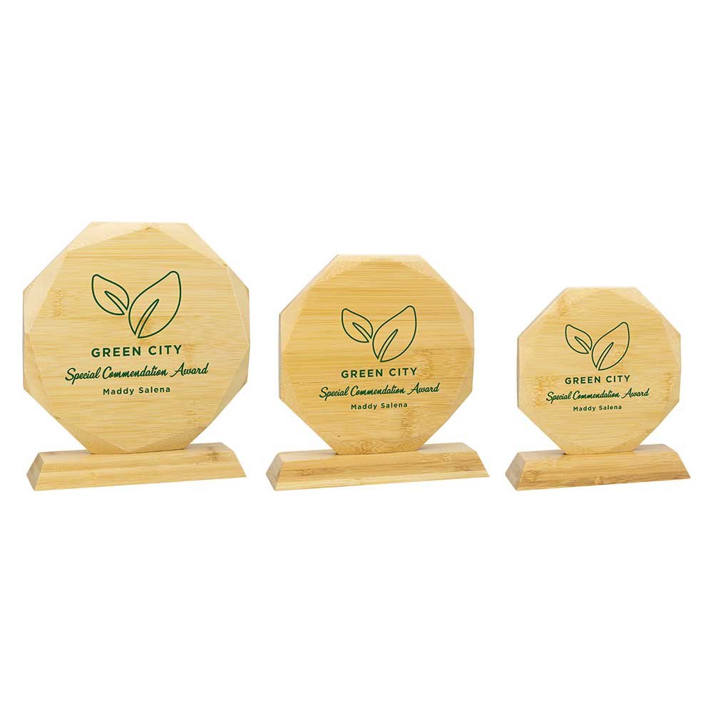 BB25311.jpg Aspire Bamboo Award - Image 1