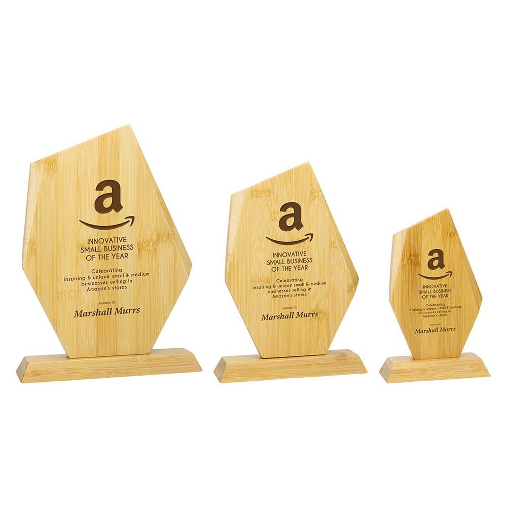 BB25312.jpg Discovery Bamboo Award - Image 1