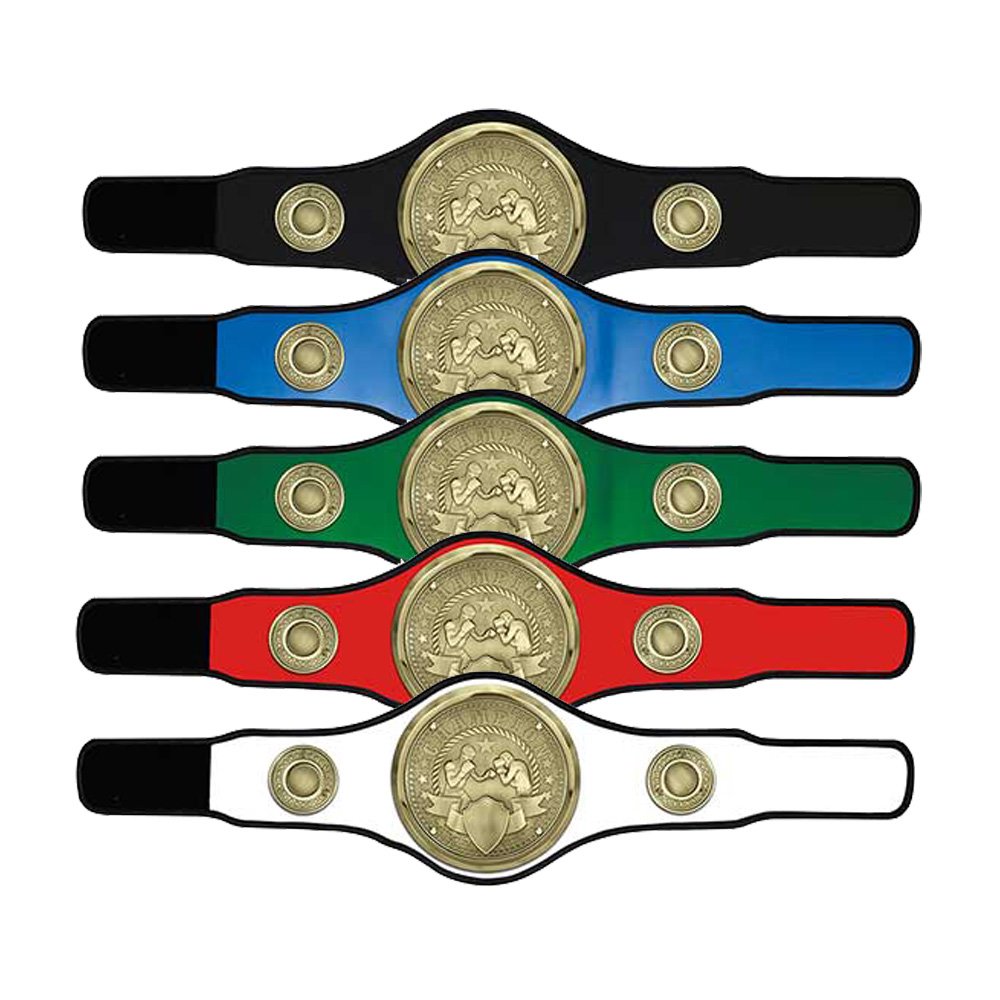 BT25480.jpg Champion Belt Boxing Award - Image 1