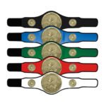 Champion Belt Kickboxing Award