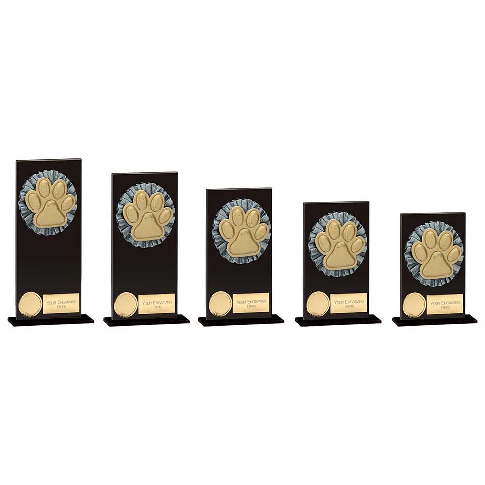 CR19063.jpg Euphoria Hero Dog Agility Glass Award - Image 1