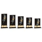 Euphoria Hero Netball Glass Award