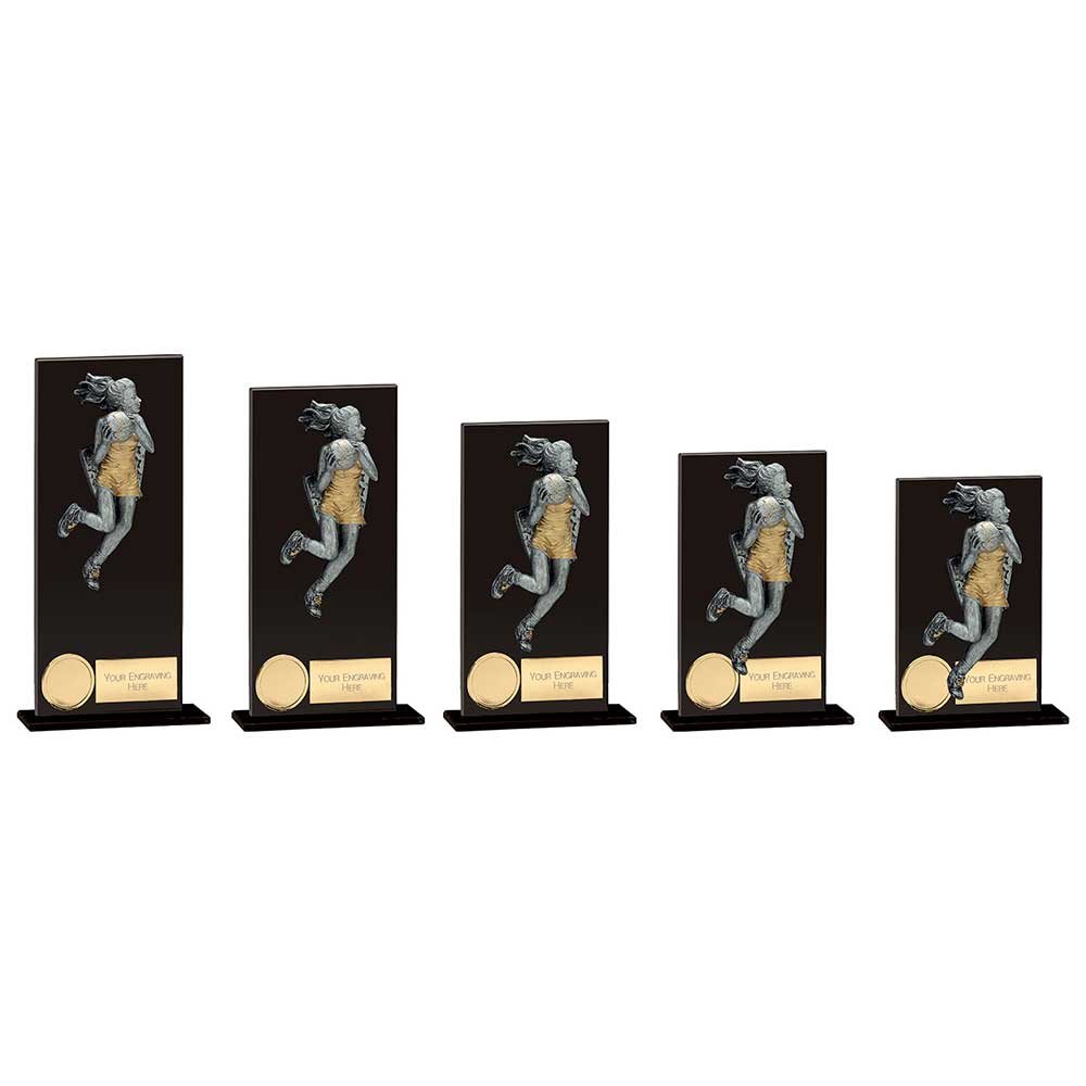 CR19189.jpg Euphoria Hero Netball Glass Award - Image 1