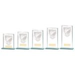 Millennium Fishing Jade Glass Award