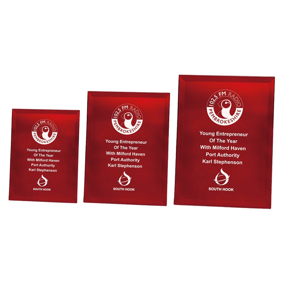 CR2135.jpg Ruby Red Mirrored Plaque - Image 1