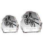Mystique Cycling Glass Award