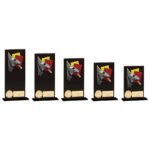Hero Referee Glass Award Jet Black