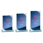 Seismic Multisport Mirror Glass Award Blue & Silver