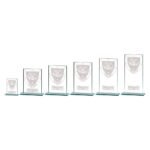 Millennium Clay Pigeon Jade Glass Award