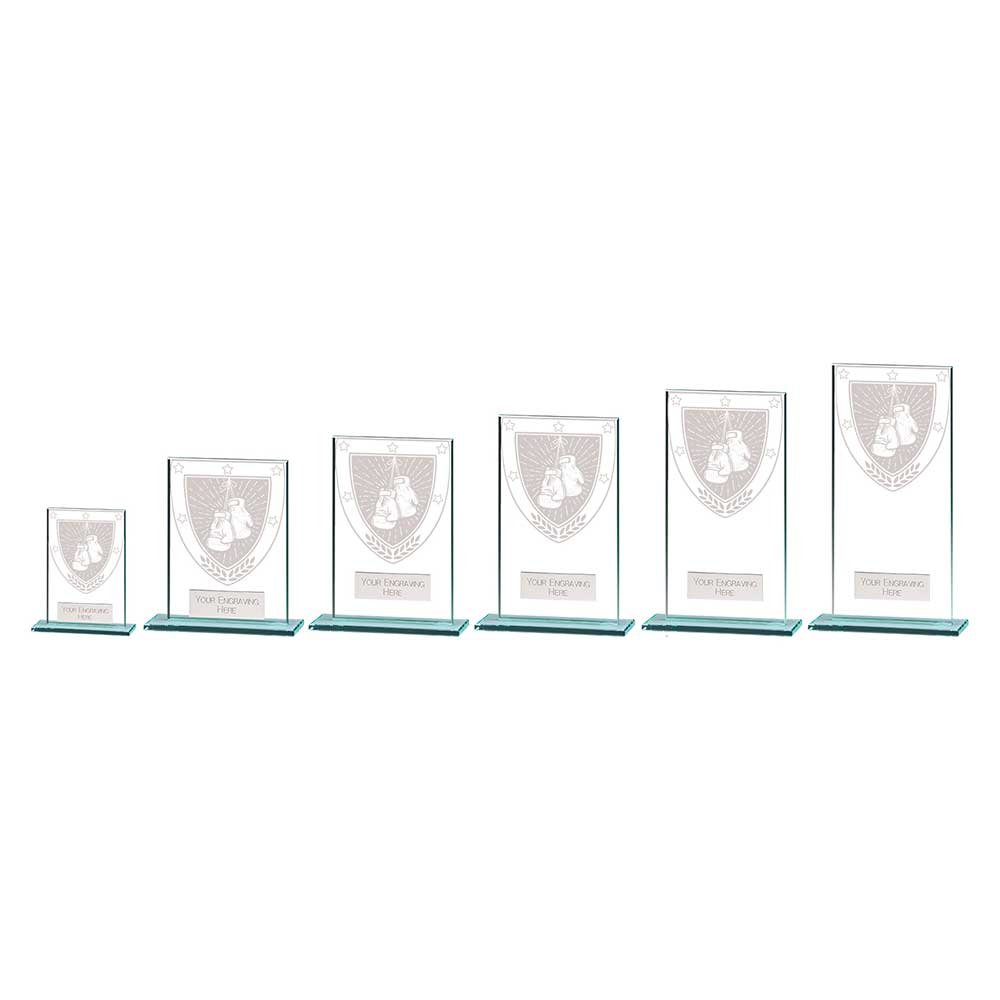 CR25244.jpg Millennium Boxing Jade Glass Award - Image 1