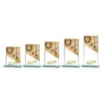 Mustang Rowing Jade Glass Award