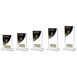 Colour Curve Darts Jade Glass Award