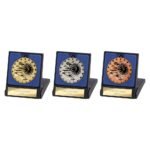 Cascade Stars Swimming Medal & Box