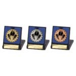 Cascade Stars Rugby Medal & Box