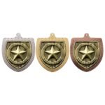 Cobra Well Done Shield Medal
