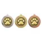 Superstar Dog Agility Medal