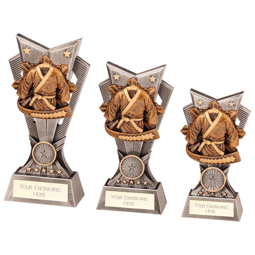 PA22156.jpg Spectre Martial Arts Award - Image 1