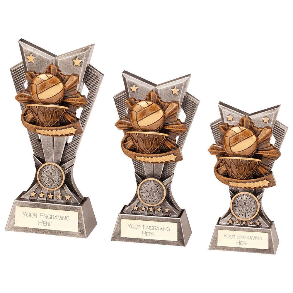 PA22158.jpg Spectre Netball Award - Image 1