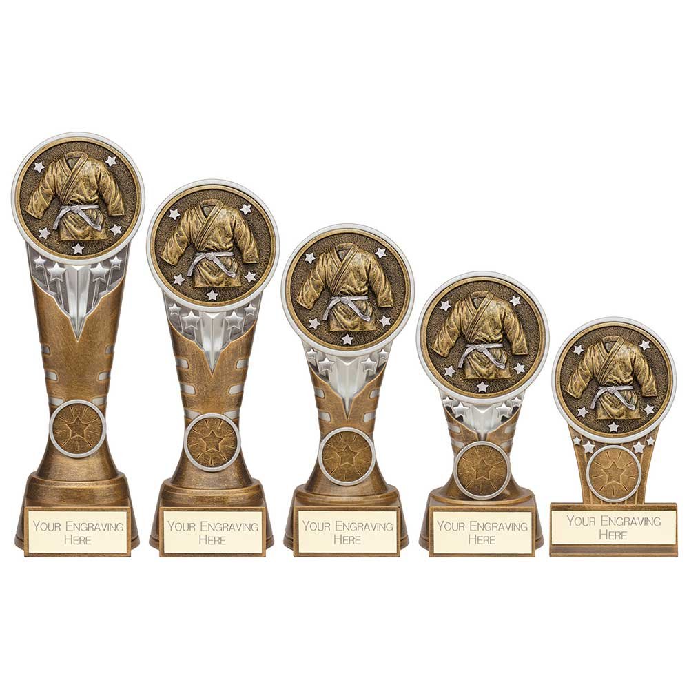 PA24232.jpg Ikon Tower Martial Arts Award - Image 1
