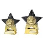 Superstar Culinary Award