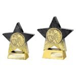 Superstar Darts Award
