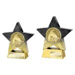 Superstar Equestrian Award
