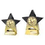 Superstar Pool Award