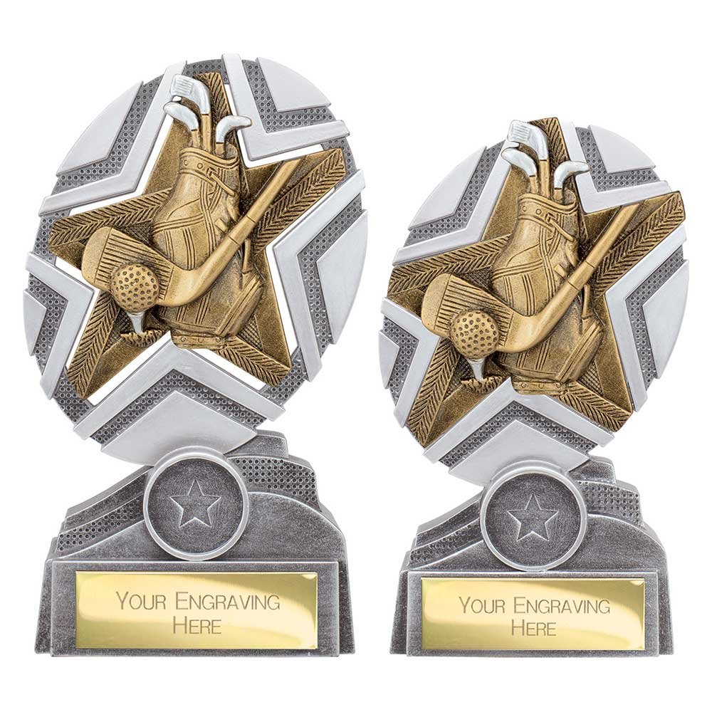 PA25189.jpg The Stars Golf Bag Award Silver & Gold - Image 1