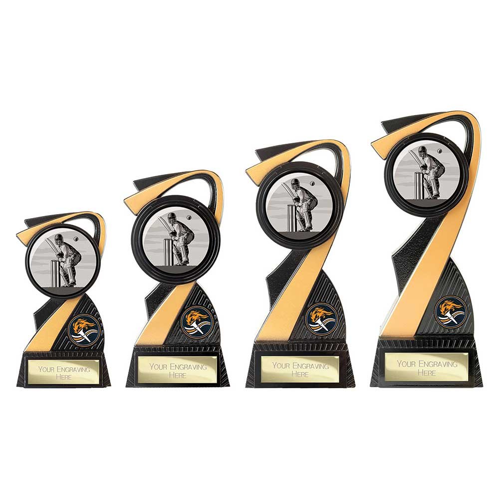 PA26611.jpg Mania Tower Cricket Award - Image 1