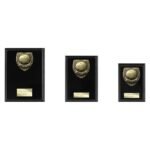 Cobra Plaque Basketball Award