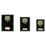 Cobra Plaque Darts Award