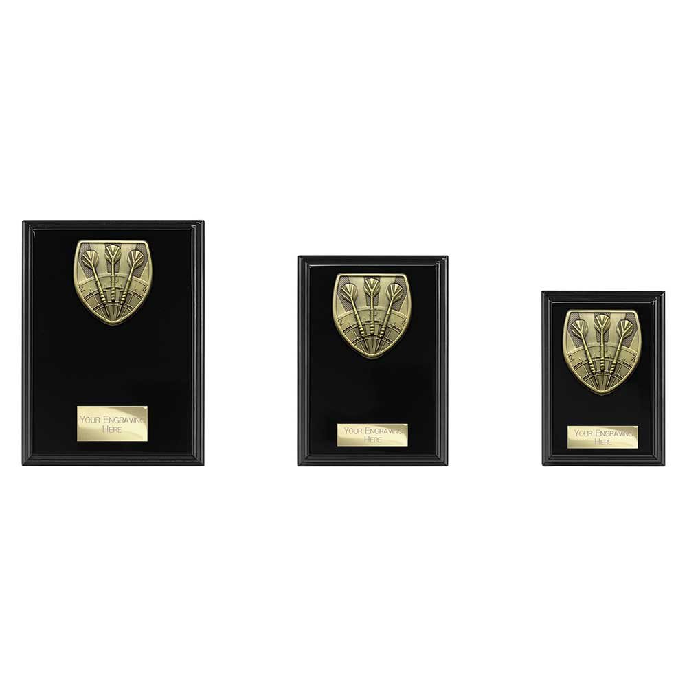 PL24205.jpg Cobra Plaque Darts Award - Image 1