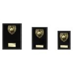 Cobra Plaque Cricket Award Epic Black