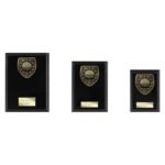 Cobra Plaque Golf Award